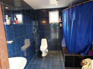 იყიდება კერძო სახლიმიწის ნაკვეთით ნატანებში, საქართველო. ფოტო 11