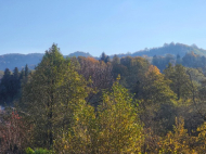 Private house for sale with a small plot of land in Lanchkhuti district, Georgia. Photo 16