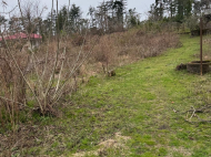 Ground area (A plot of land) for sale at the seaside of Shekvetili. House by the sea for sale in Shekvetili, Georgia. Photo 3