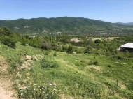 Продается земельный участок в пригороде Тбилиси, Натахтари. Фото 3