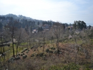 House with a poultry farm in Makhindzhauri, Adjara, Georgia. Buy a private house with a sea view. Photo 20