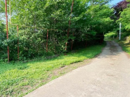 Land parcel, Ground area for sale in Khutsubani, Georgia. Tangerine garden, Orchard.  Near the river. Photo 6