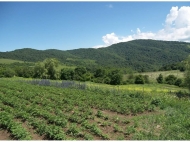 Продается земельный участок с фермой в пригороде  Грузия. Купить частный дом с земельным участком в пригороде Тбилиси, Грузия. Фото 7