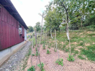 House for sale with a plot of land in Zugdidi, Georgia. Tangerine garden, Orchard. Walnut garden. Photo 13