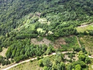 Land plots for sale in Keda district Adjara Georgia. Land parcel, Ground area for sale in a picturesque place. Photo 4