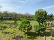 Продается частный дом с земельным участком в Дарчели, Грузия. Ореховый сад. Фото 4