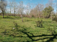 Land parcel, Ground area for sale in the suburbs of Senaki, Georgia. Natural spring, Orchard, Walnut garden. Near the river. Photo 7