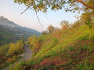 იყიდება მიწის ნაკვეთი ქალაქგარეთ ბათუმი, საქართველო. ზღვის ხედებით. ფოტო 11