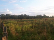 Land for sale 10 hectares. Photo 4