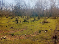 ყიდვა კერძო სახლის მიწის ნაკვეთით ოზურგეთი, საქართველო. ფოტო 8