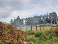 A plot of land is for sale in Laituri, Guria, Georgia. Photo 4