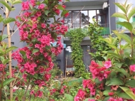 Villa Gonio Green Photo 4