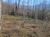 House for sale with a plot of land in the suburbs of Ozurgeti, Georgia. Photo 3