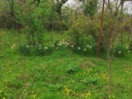 ყიდვა კერძო სახლის მიწის ნაკვეთით სამტრედიაში, საქართველო. ფოტო 4