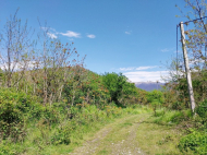 Sale of land in Lagodekhi. Kakheti, Georgia. Photo 3