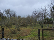 Купить дом с земельным участком в пригороде Озургети, Грузия. Фруктовый сад. Ореховый сад. У реки. Фото 11