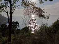 Продается земельный участок у моря в Квариати, Грузия. Вид на море. Фото 5