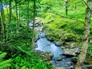 Land parcel, Ground area for sale in the suburbs of Batumi. Akhalsheni. Photo 2