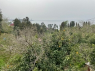 House for sale with a plot of land in the suburbs of Batumi, Georgia. Sea view. Photo 32