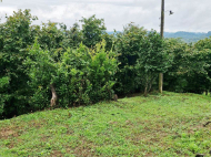 House for sale with a plot of land in Lanchkhuti, Georgia. Orchard.Walnut garden. Photo 3