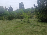 Land parcel, Ground area for sale in Chakvi, Georgia. Photo 16