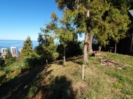 Продается земельный участок у моря в Махинджаури, Грузия. Вид на море и горы. Фото 5