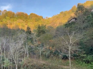 ვიყიდი კერძო სახლს საკურორტო რაიონში ჩაქვში, ჩაისუბანი. ფოტო 15