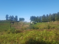 Земельный участок на продажу в Батуми. Участок с видом горы в Батуми, Грузия. Фото 3