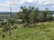 House for sale with a plot of land in the suburbs of Tbilisi, Dusheti. Photo 5