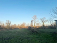 House for sale with a plot of land in Samtredia, Georgia. Near the river. Photo 8