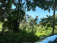 Участок с видом на море и горы в Цихисдзири, Аджария, Грузия. Фото 3