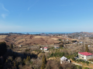 იყიდება მიწის ნაკვეთი სახალვაშო, საქართველო. ფოტო 4