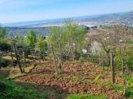 Продается земельный участок в пригороде Батуми, Грузия. Природный родник.  Фото 10