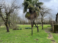 House for sale with a plot of land in the suburbs of Kutaisi, Georgia. Photo 3