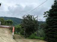 Продается частный дом с земельным участком в Эрге, Грузия. У реки. Природный родник. Фото 21