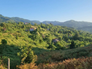 Земельный участок в курортной зоне Сахалвашо, Грузия. Вид на море. Фото 4