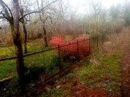 Купить частный дом с земельным участком в пригороде Озургети, Грузия. Фото 11