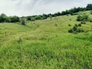 Land parcel, Ground area for sale in a resort district of Sioni, Georgia. Photo 3