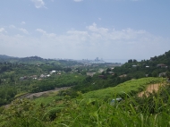 Ground area (A plot of land) for sale in a quiet district of Batumi, Georgia. Land parcel with sea view and the city. Photo 3