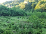 Участок для дачи с мандариновым, фруктовым садом и природным родником в Махинджаури, Аджария, Грузия. Фото 8