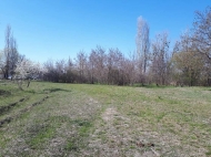 Land parcel, Ground for sale in the suburbs of Tbilisi, Mukhrani. Photo 3