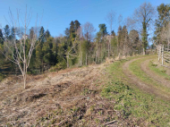 იყიდება მიწის ნაკვეთი ზღვისა და მთების ხედით ციხისძირში. საქართველო ფოტო 5