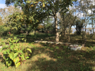 მიწის ნაკვეთის ყიდვა ქალაქგარეთ ფოთი, საქართველო. მდინარესთან. ფოტო 3