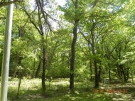 Land parcel, Ground area for sale in the suburbs of Tbilisi. The project has a construction permit. Photo 5