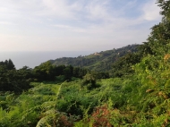 Land parcel for sale in Sarpi, Georgia. Ground area with sea view. Photo 1