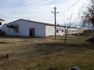 An existing agricultural complex for sale. Marneuli, Georgia. Photo 1