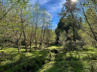 იყიდება მიწის ნაკვეთი ზღვასთან ურეკში, საქართველო. ფოტო 2