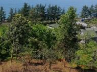 Продается земельный участок у моря в Махинджаури, Грузия. Фото 5