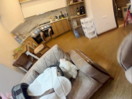 Квартира у моря в Батуми. Квартира с ремонтом и мебелью в Батуми, Грузия. Фото 5