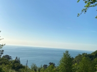 Земельный участок на продажу у моря в Сарпи, Грузия. Вид на море и горы. Фото 3